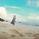 ぴっぴ