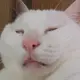 ミッドナイトチープモーテル