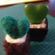 ぽん