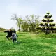 公園ハンター