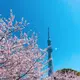 かくん