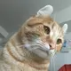 しんば