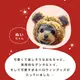 wanwan