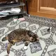 よっさん