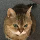ちか