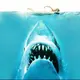 Jaws’ kabu