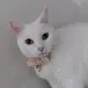 じょにー