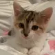 うぉっか