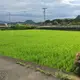 やむ
