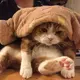 ゆっと