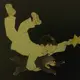 やすあみ