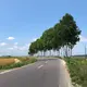 あきなん