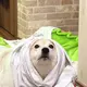 もりこ