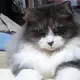 くろくろ