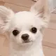 ma....mi