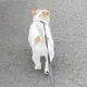 ごはんつぶ