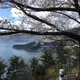 ひこ