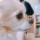 Mamiko