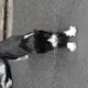 にゃんころたろう