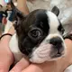もり