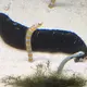 直紀行