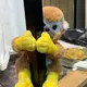 ふじた