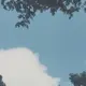 ユミ