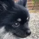 marito