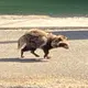 まーち
