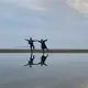 ぱる子