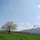 tachibana ryuuta