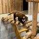 まみ