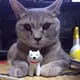 ろっしー