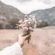 yuuridiary