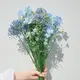 ぱか