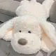 poncha_728