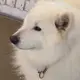 こーや