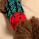 たーちゃん