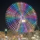 くろとかげ