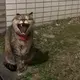 ゆうこ