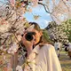 さくらもち