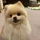 MR