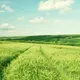 土田 哲哉