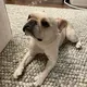 yuki