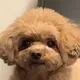 ななこです