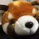 kotaro