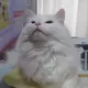 なおりん