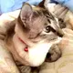 mariko