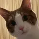 よし