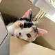 あっぷる